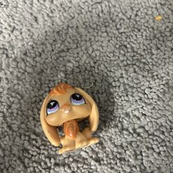 Littlest Pet Shop #480