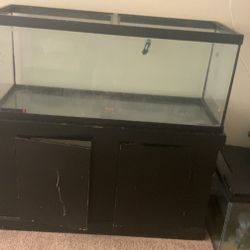 75 Gallon Fish Tank With Stand