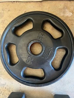 25 lb rubber coated plate