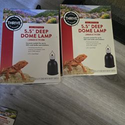 Deep Dome Light