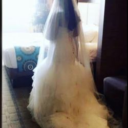 Wedding dress By Dina Davos (Kleinfeld Designer)