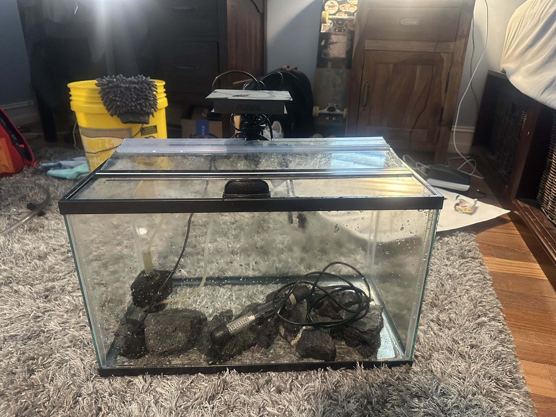 10 Gallonfish Tank Setup For Sale