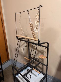 Bird Play Area