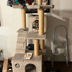 Cat House Not The Cheap One Mansion Cat House