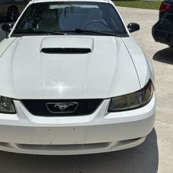 Automotive  2003 Ford Mustang GT Convertible 