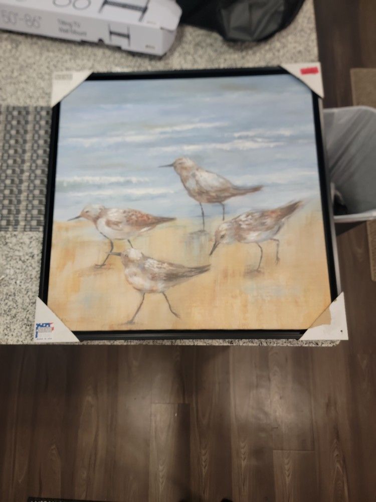 Framed Bird Picture 