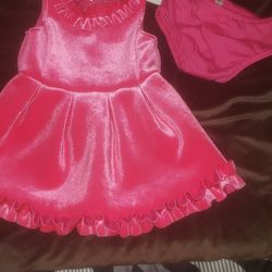 Pink Velvet Dress Brand New Without Tags.