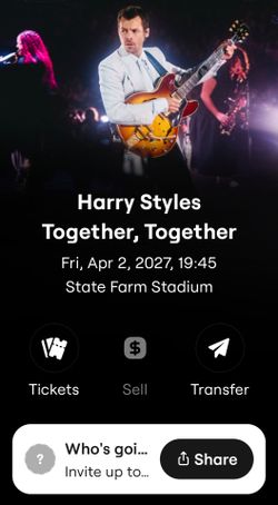 Harry Styles Concert Phoenix