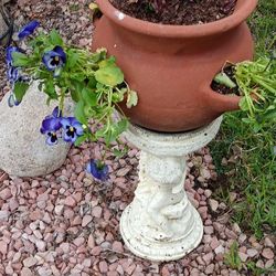 Ceramic Pot With 2 Types of Flowers
