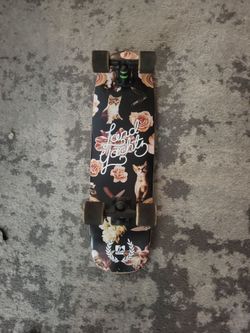 Skateboard (land yacht)
