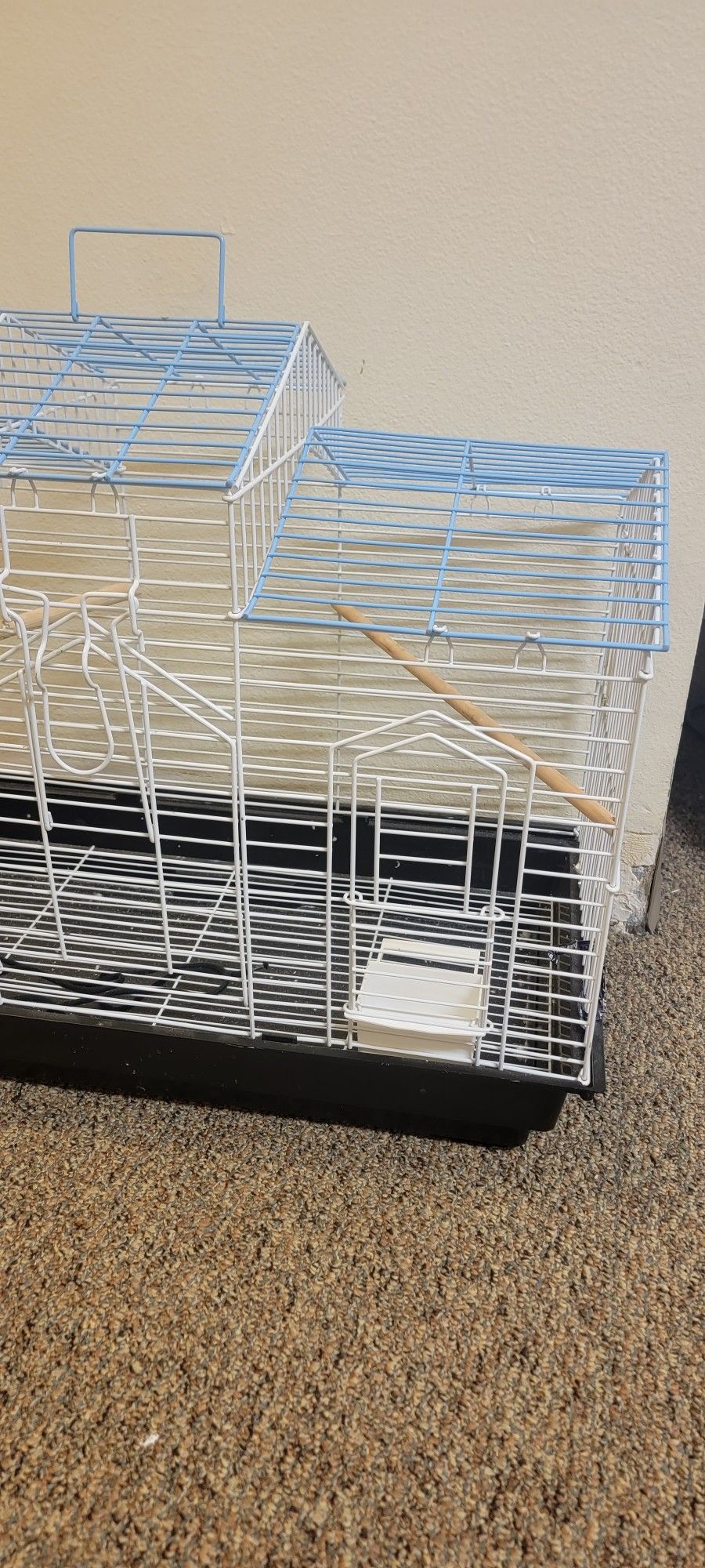 birdcage