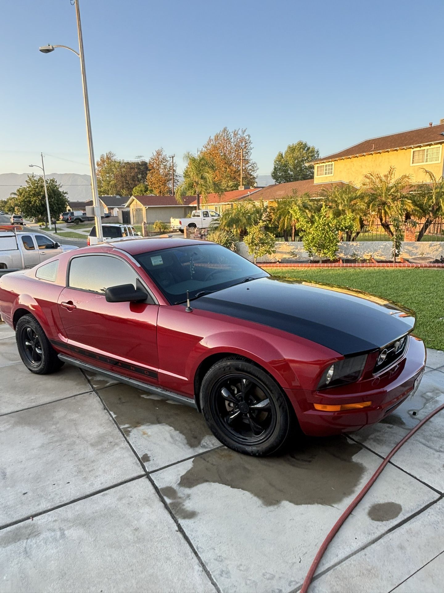 2008 Ford Mustang