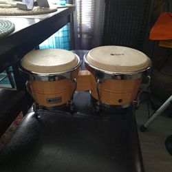 Lp Bongos 