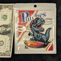 Dinosaur Patch
