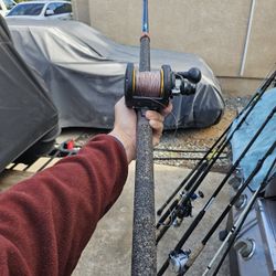 Penn Fathom 30 2 Speed W/custom Seeker Rod