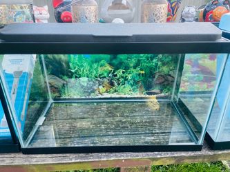 Topfin 10 gallon fish tank