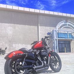2013 Harley Davidson Sportster 833