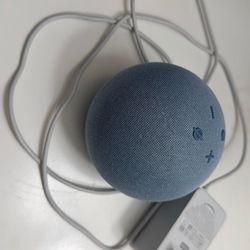 Alexa Speaker