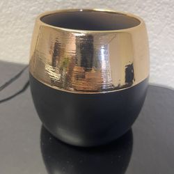 3” Orchid Modern Globe Ceramic Plant Pot