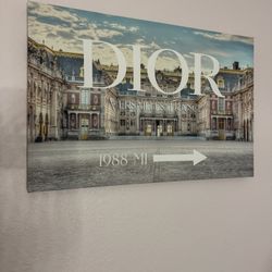 Dior Canvas 