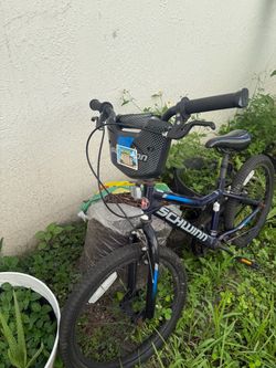 Schwinn Kids Bike with Front Basket