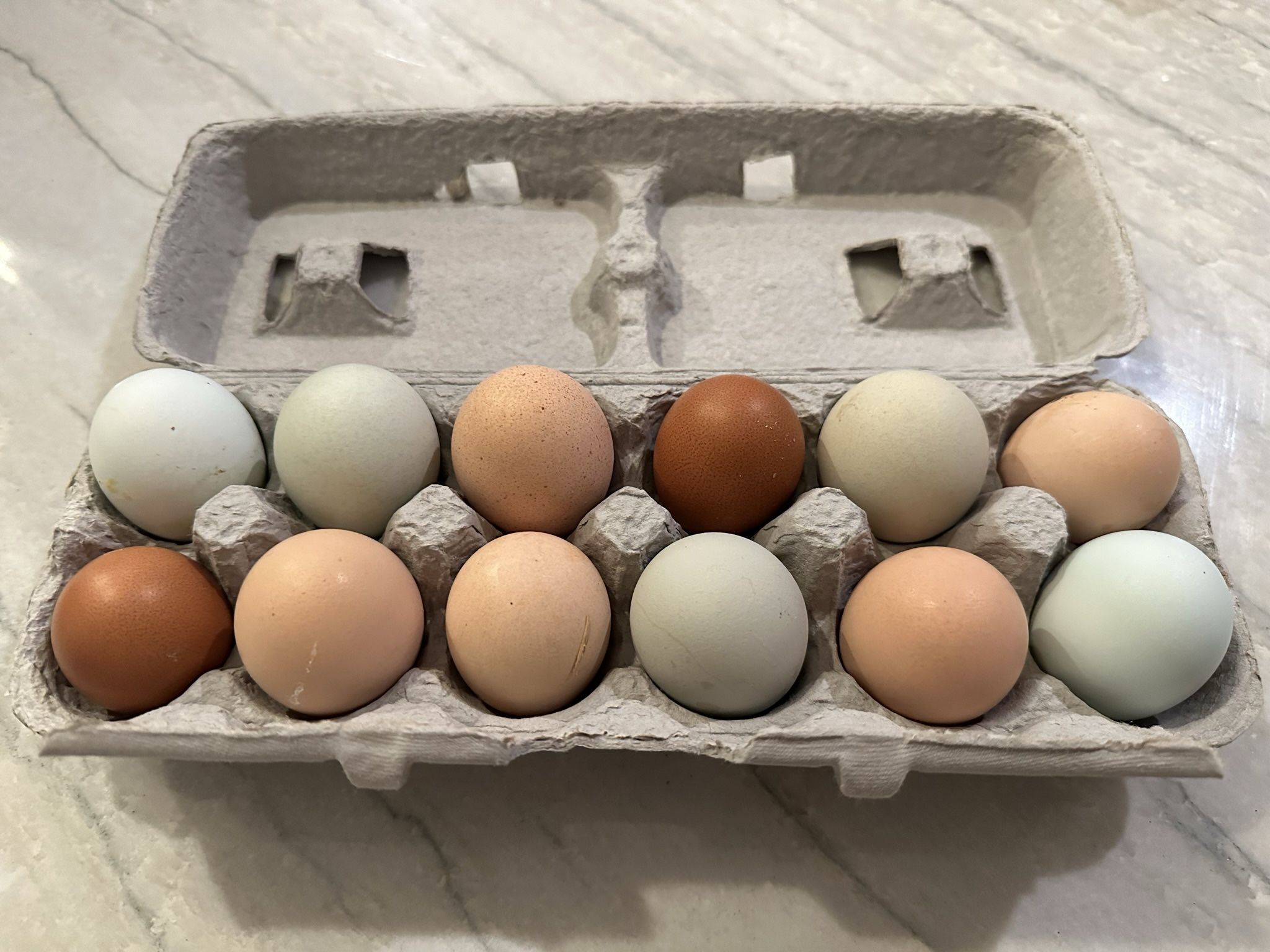 Fresh Eggs From Our Backyard Chickens