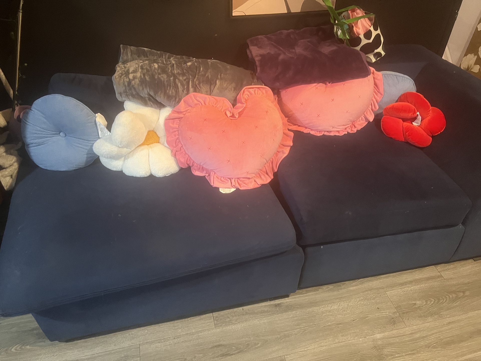 Blue Comfy Couch