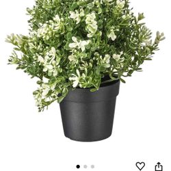 PAPERI Artificial Thyme Plant for Home Décor – Living Room Decoration Items, Office Desk Show Pieces