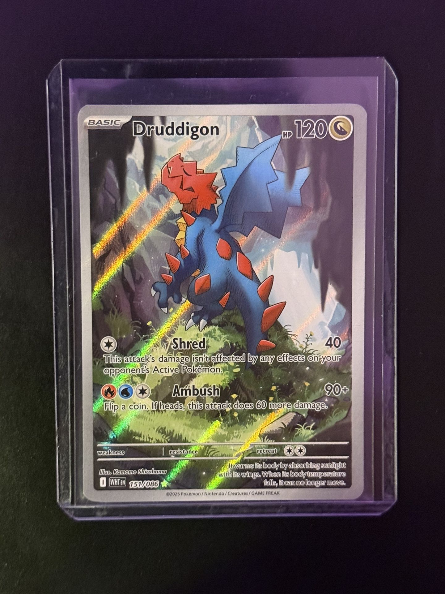 Pokemon white flare and black bolt singles