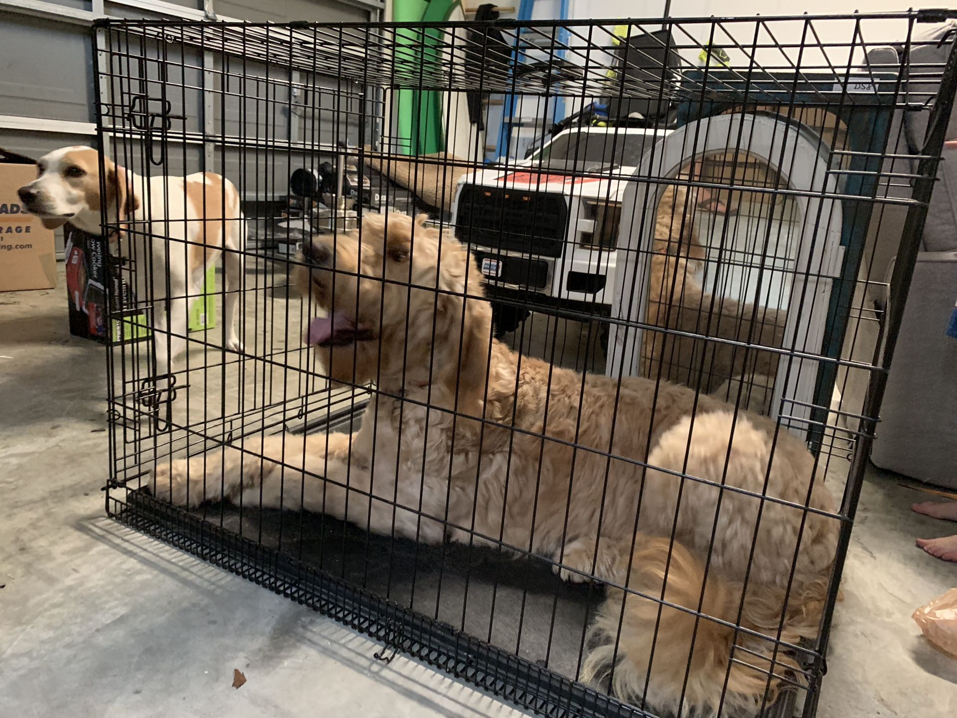 Dog crate XL