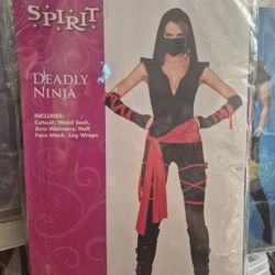 Deadly Ninja Halloween Costumes Adult