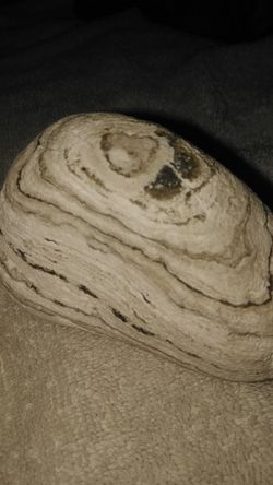 You got to have it nice rock make offer