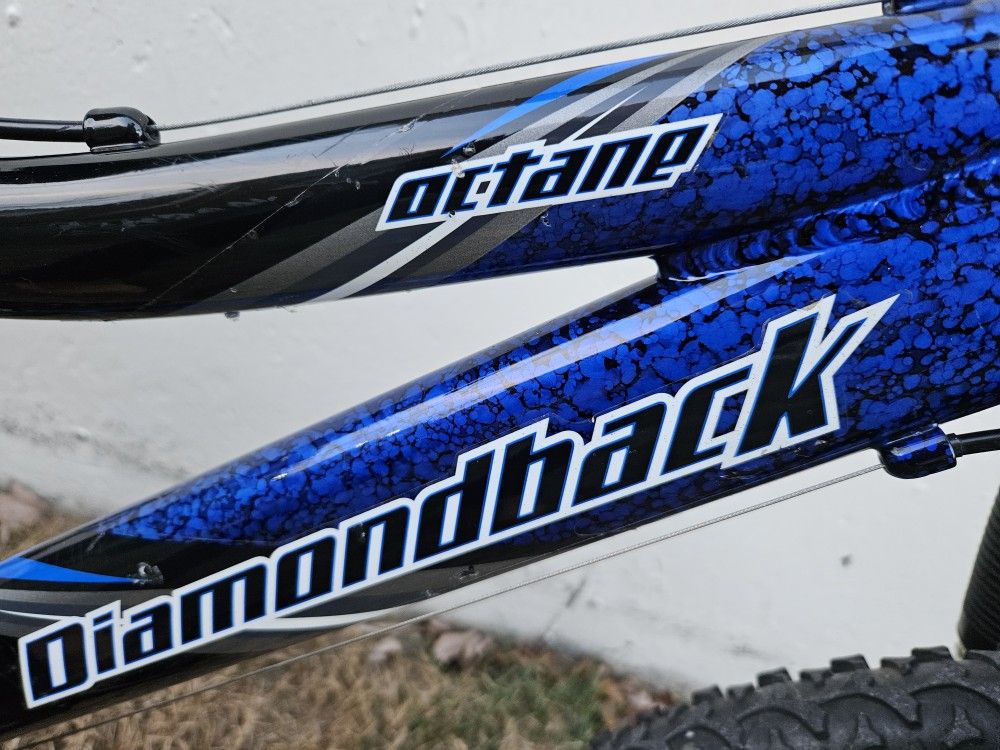 Diamondback Octane 20 - (aged approximately 4-9 years old)