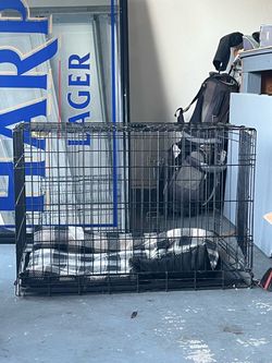 Large dog crate