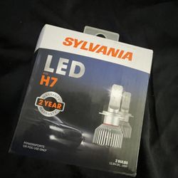 H7 LED Lights