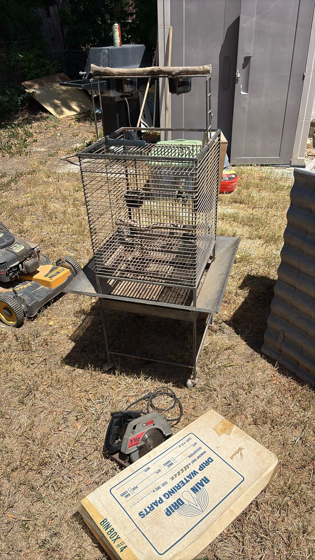 Parrot Cage