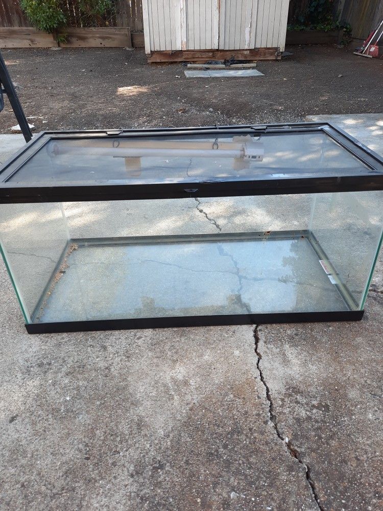 Free Terrarium For Reptiles And Accessories Included Free