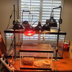 40 Gallon Terrarium/Aquarium With Lights And Accessories