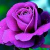 Ruth