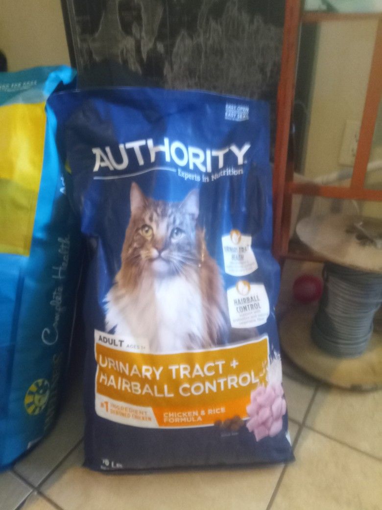 Cat Food And Dog Food