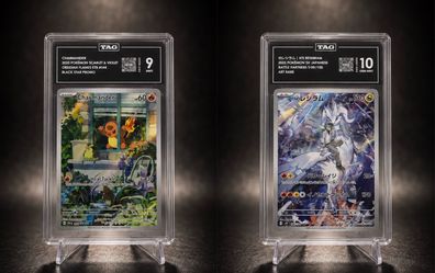 Pokemon TAG tcg slabs