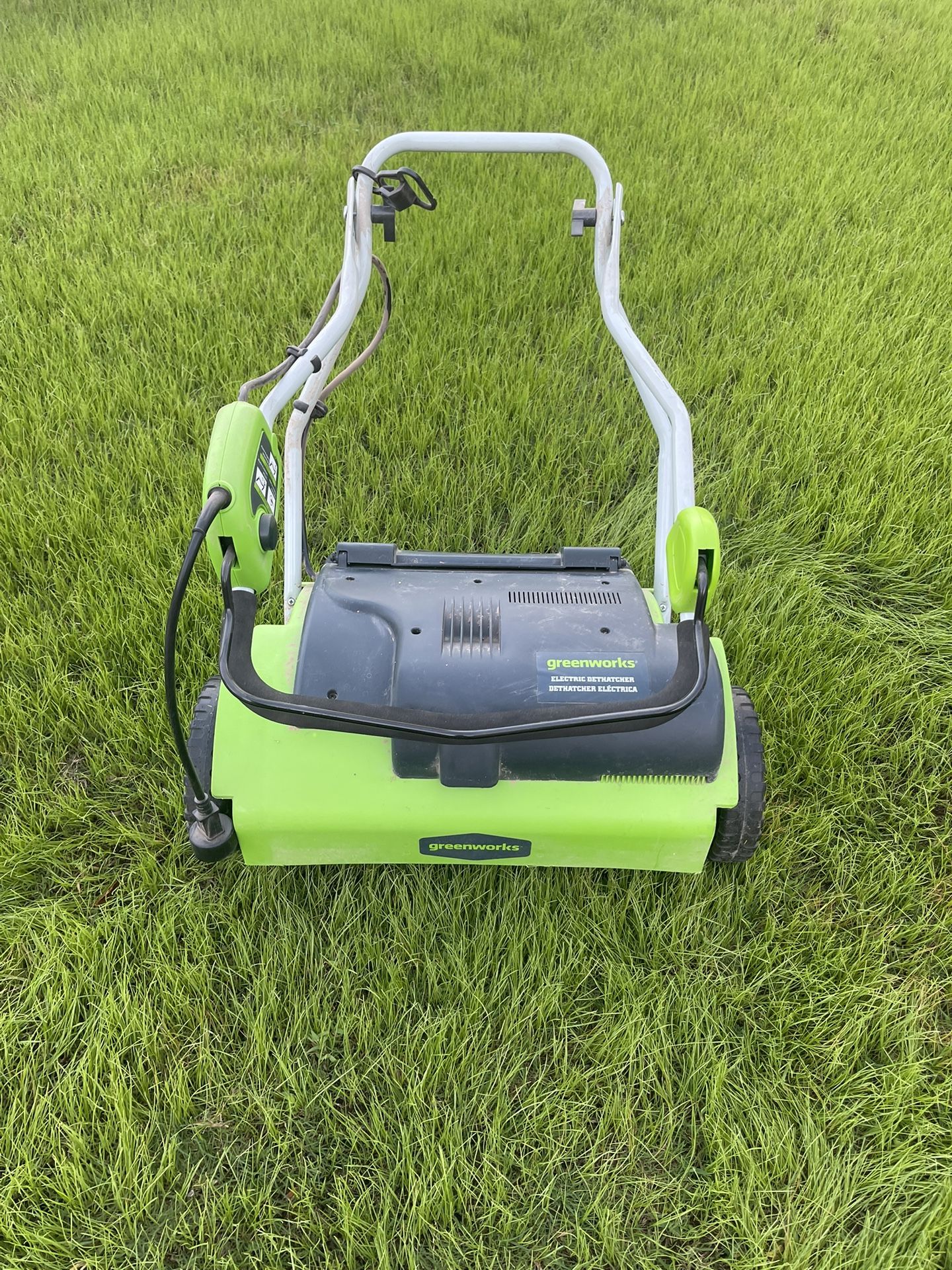 Greenworks ELECTRIC DETHATCHER