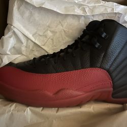 Air Jordan 12 Flu Game
