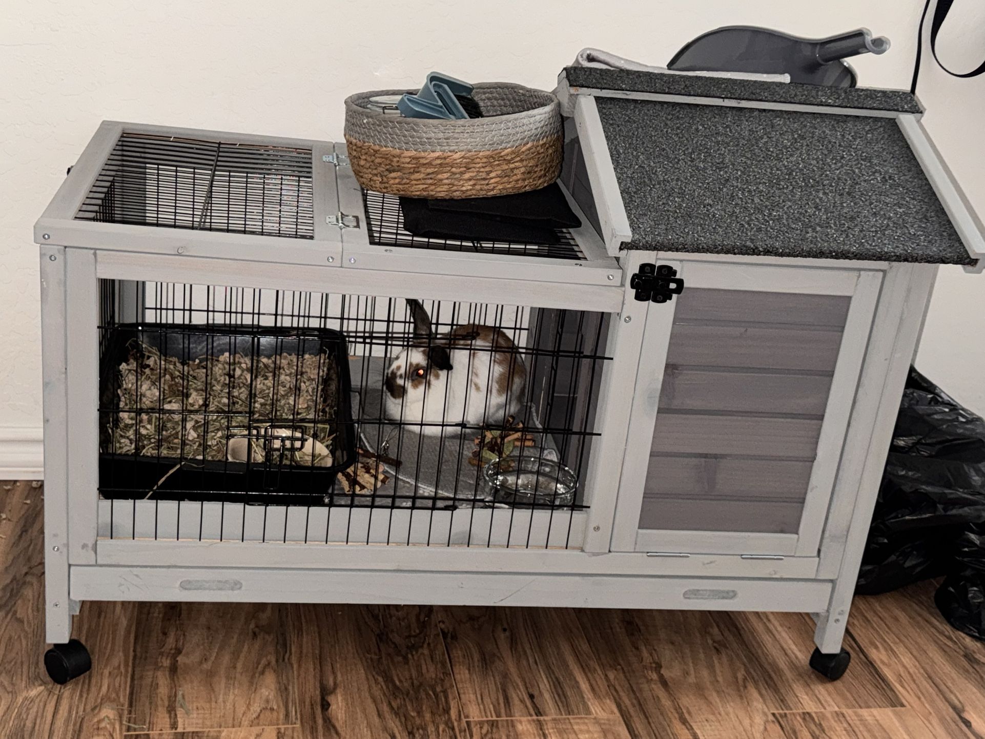 Bunny Hutch