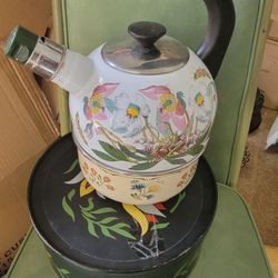 Vintage Enamelware Tea Kettle Pot