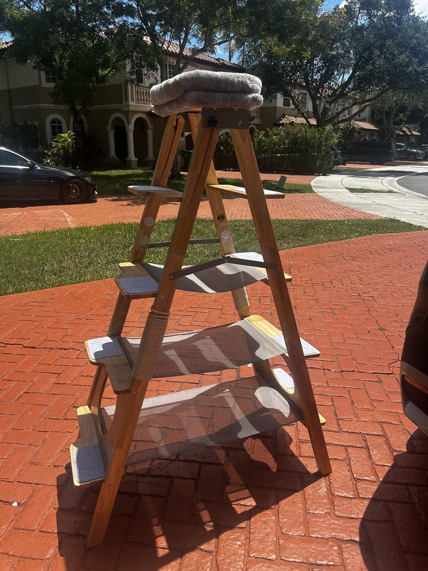 Cat Ladder