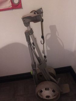 Pull/push cart