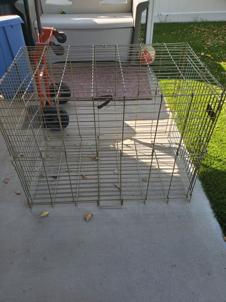 Animal Cage