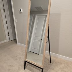 Nice Full Body Mirror