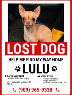 Lulu lost reward 200